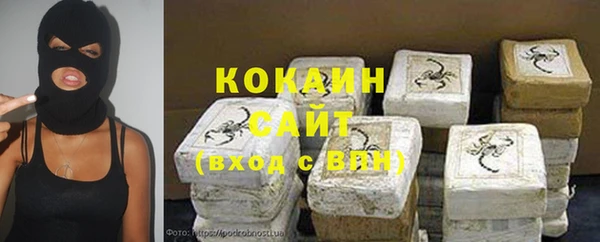 Альфа ПВП Лагань