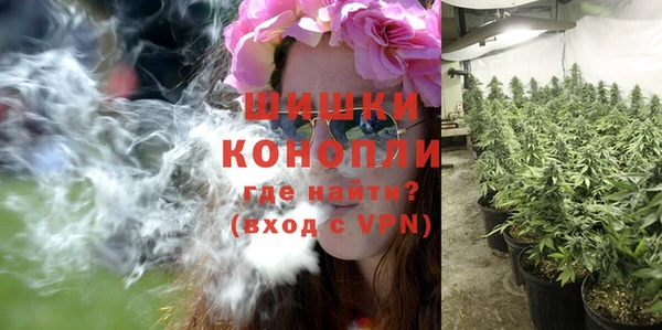 Альфа ПВП Лагань