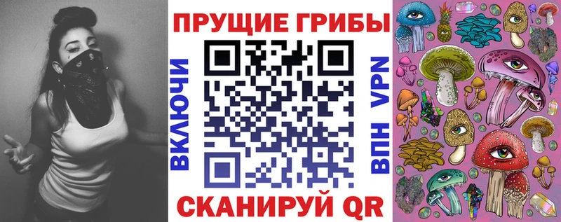 Купить где  Отрадный  Галлюциногенные грибы Psilocybe 