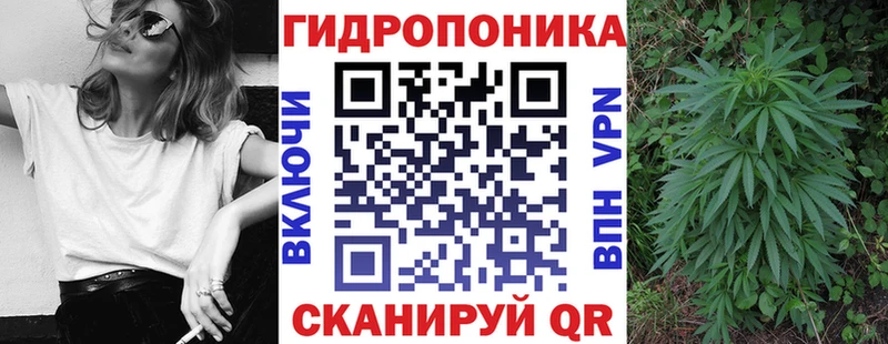 Каннабис гибрид  Купить закладки  Отрадный 
